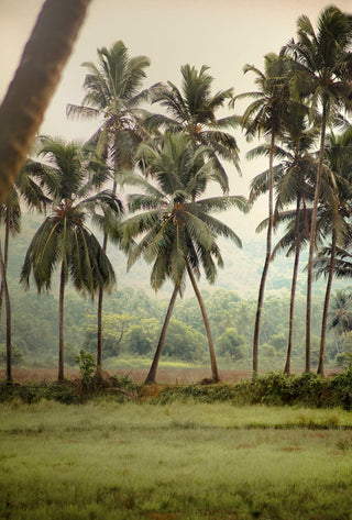 GOA INDIA'S MAGICAL STATE
